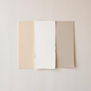 The Color Palette: Where Peace Begins